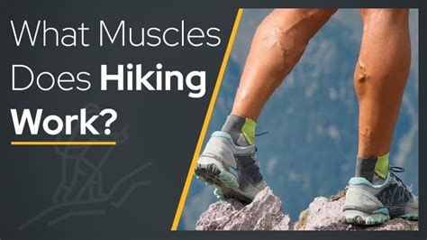 core of strength word hike|Here Are The Exact Muscles Worked During Hiking .